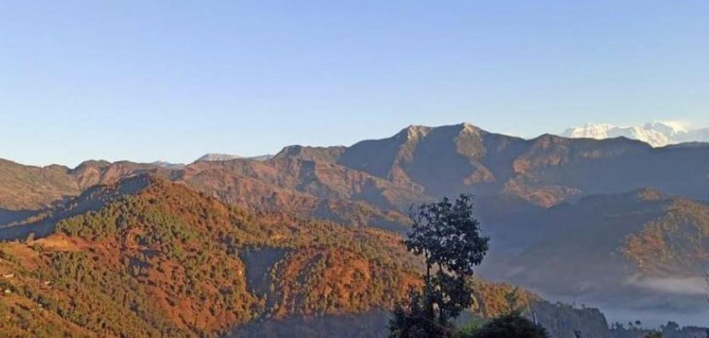 मदाने गाउँपालिकामा अवस्थित मदाने वन क्षेत्र पर्यटकीय आकर्षणको केन्द्र बन्दै