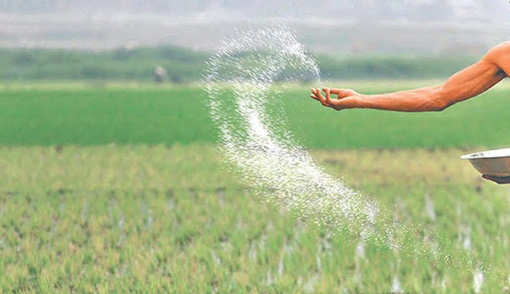 रासायनिक मलको अभाव हुँदा किसान मर्कामा