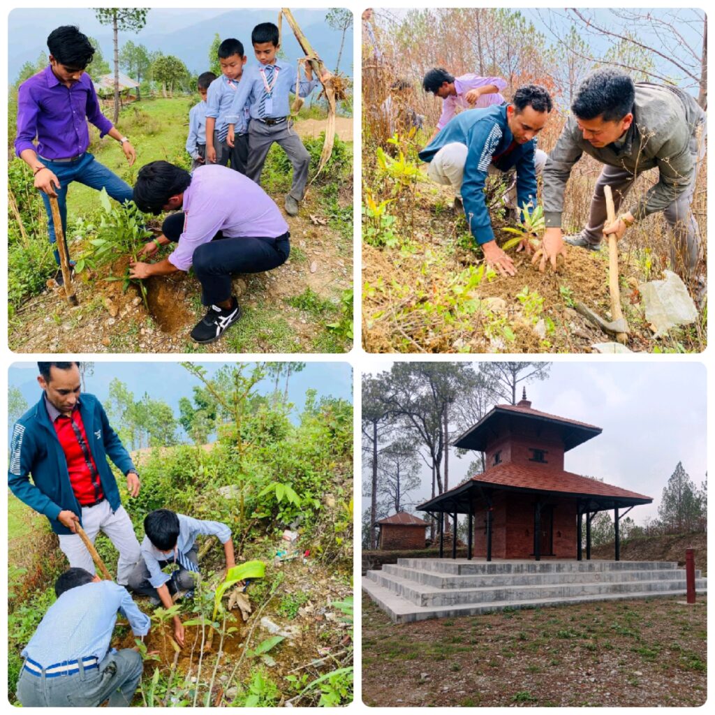 लाली गुराँसको बिकास र संरक्षणमा जुट्दै मुसिकोट युवा क्लब